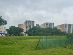 Ponggol Seventeenth Avenue (D19), Detached #585473281